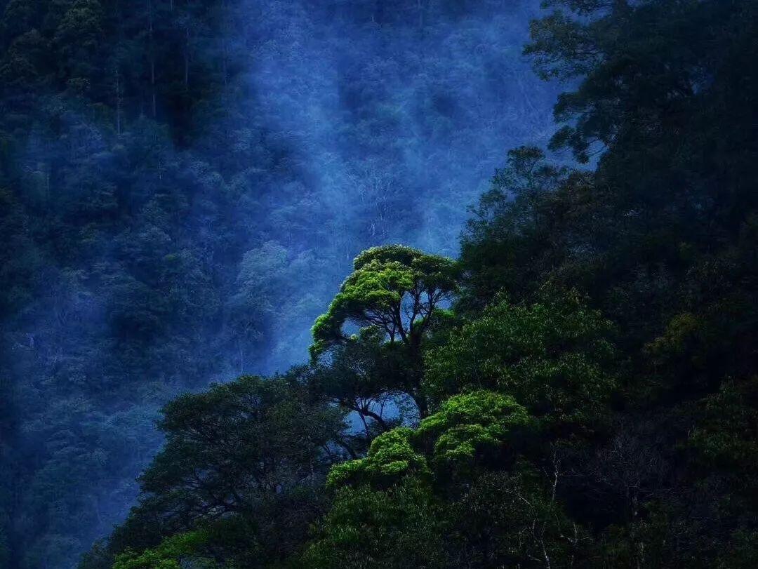 龙太子的绝绍是什么游戏画面