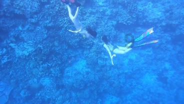 湖北雪浪石切片批发基地，湖北雪浪石切片批发价格，湖北雪浪石切片批发
